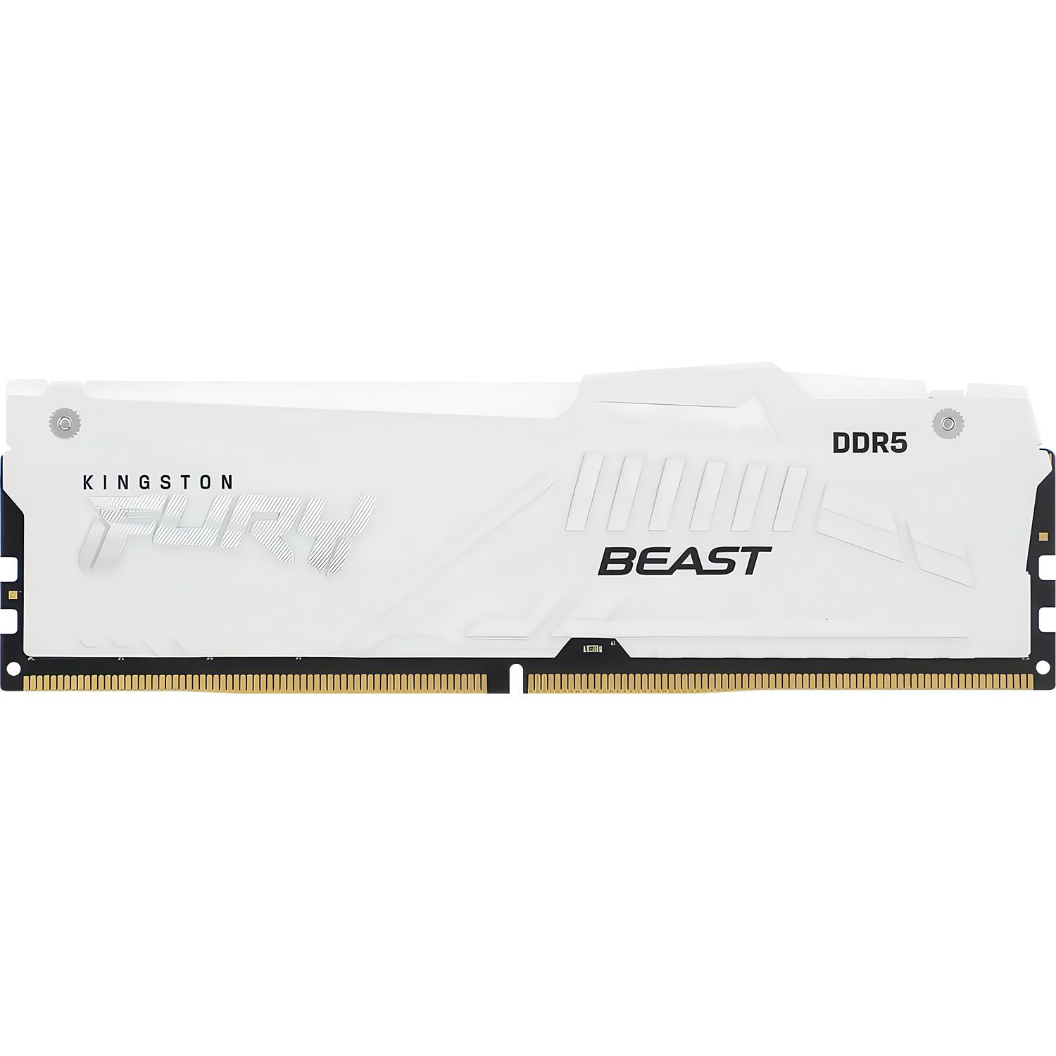 Память оперативная Kingston FURY Beast KF556C40BWA-16